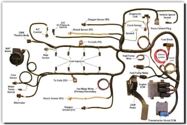 Ls Engine Wiring Diagram Irish Connections