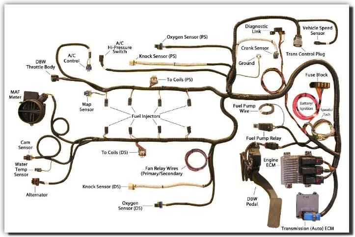Ls2 Wiring Diagram from www.mrk-motorsports.com